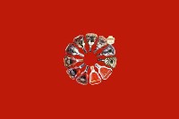 保定安国市回收红酒